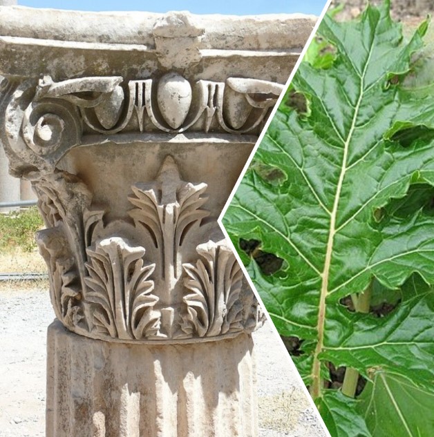 The Acanthus in Art and Architecture: Evolution and Symbolism Across Cultures