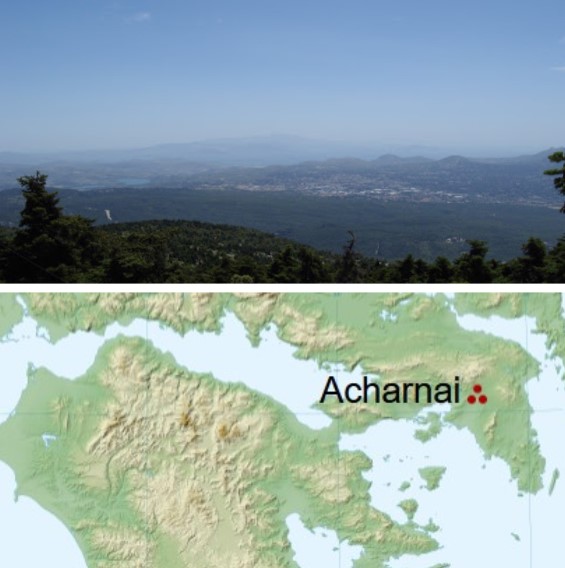 Acharnae, the Ancient Greek town in the shape of a 'sea bass'