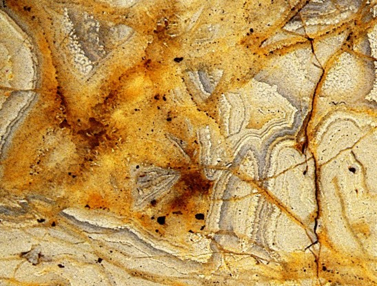 Section of an agate stone found along the river Dirillo, Sicily