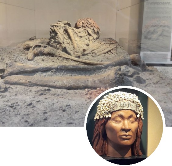 Reconstruction of the face of the woman of the Caviglione from the Gravettian era (24,000 years ago) - Grotte Balzi Rossi, Italy. Her burial, discovered in 1872, was adorned with a cap made of shells and deer teeth, a bracelet around her leg, and a set of horse bones. Initially believed to be male due to her tall stature (about 190 cm), she was dubbed the <em>Man of Mentone</em>. However, DNA testing in 2016 confirmed her sex. Scientific studies also revealed she had given birth, lived to an advanced age for the time (about 37 years), and bore signs of a defensive wound.
