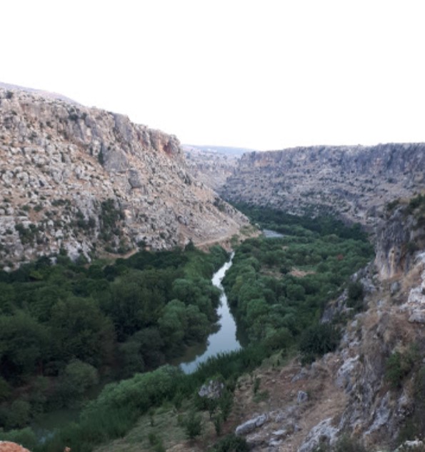 Orontes river