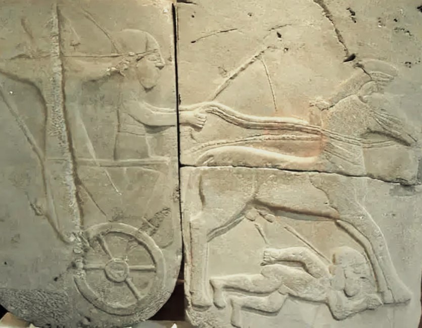 Relief orthostat depicting a chariot, Hittite c. 9th century BCE - Istanbul, Turkey. Hittites exerted an enormous influence over the introduction and development of chariots in Mesopotamia along with the Hurrians and Mitanni.